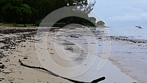 Large amount of debris brought back to the sea after a series of  flash floods onshore.