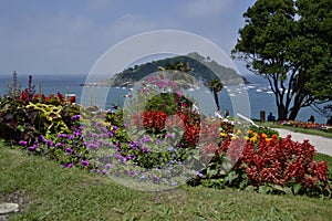 Large amount of flowers in San SebastiÃ¡n, in the Basque Country.