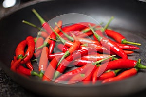 A large amount of hot red chili pepper.
