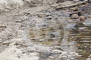 A large amount of trash polluting our waters