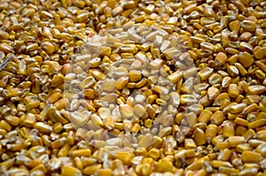 Large amounts of yellow maize widespread