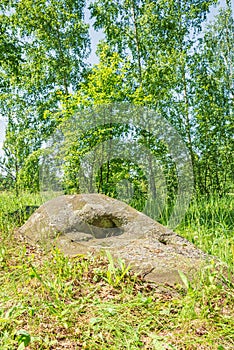 A large ancient sacred boulder stone, Sledovik, covered with lichen in a birch forest in the Orel region, Russia