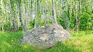 A large ancient sacred boulder stone, Sledovik, covered with lichen in a birch forest in the Orel region, Russia