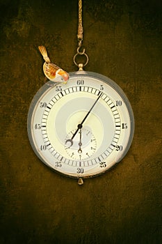 Large ancient vintage stopwatch with little toy bird hanging in front of an old brown wall