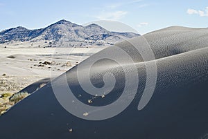 The large andy dunes in the great basin