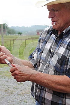 Large Animal Vet Preparing the Shot