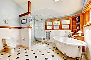 Large antique classic blue bathroom interior