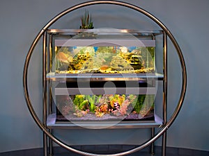 Large aquarium