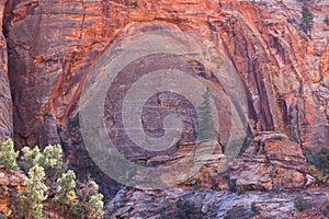 Large Arch Forming in Zion
