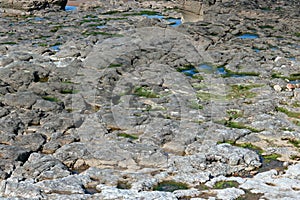 Large area of rocks on the coast.