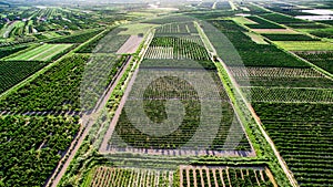 Large areas of fertile land and crops in southern Croatia