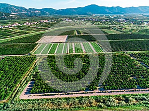 Large areas of fertile land and crops in southern Croatia