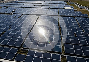 Large array of solar panels arranged in a grid pattern. Panels are
