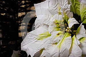 Large artificial Poinsettia flower