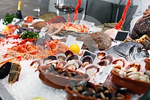 Large assortment of fresh seafoods suiting any taste on icy showcase