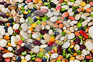 A large assortment of many variety of beans