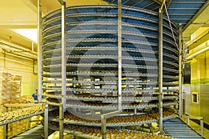 Large automated round conveyor machine in bakery food factory, cookies and cakes production line