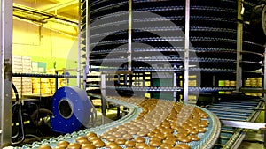 Large automated round conveyor machine in bakery food factory, cookies and cakes production line