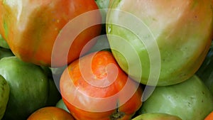 Large autumn harvest of ripe and unripe green and red tomatoes, close up view