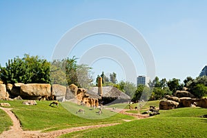 Large aviary with animals on green grass in Valencia zoo