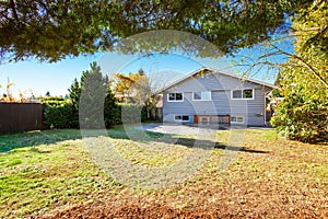 Large back yard with patio.