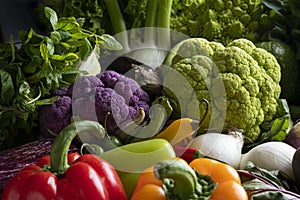 Large baking pan with fresh mixed colourful vegetables