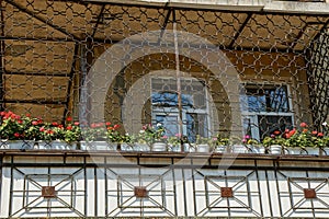 Large balcony with iron grill with flowerpots and decorative flowers