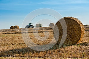 large bales and tractor with trailed bale machine collect straw in the field , hay collection in the summer