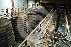 Large barrels in wine cellar