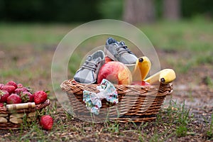 Large basket with fruits and shoes on green grass.