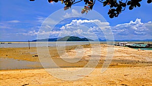 Large Beach Landscape