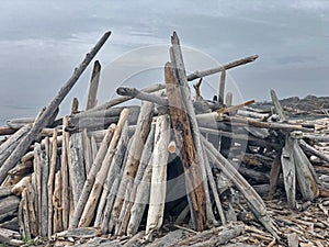 Large Beach Shelter