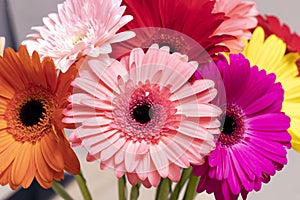 large beautiful orange gerbera flower in colorful bouquet of flowers. Gift for holiday