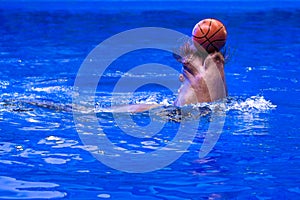 A large beautiful walrus swims in a blue pool with a ball.