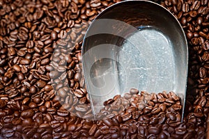 A large bin or pile of whole brown organnic coffee beans