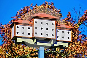 Large Birdhouse Condominium, Autumn Trees