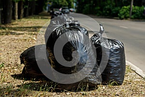 Large black trash bags filled with garbage are on the road. Clean area concept