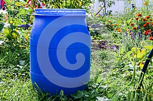 Large blue plastic garden barrel