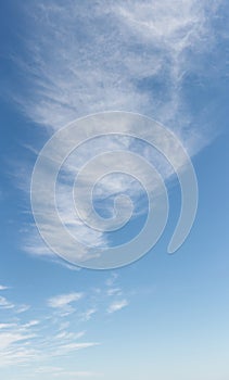 Large blue sky vertical panorama with wispy white clouds