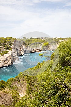 a large body of water in a wooded area on a sunny day photo