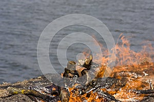 A large bonfire with fire sparks of flame on the banks of the river. Burned grass by the fire. Close-up