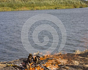 A large bonfire with fire sparks of flame on the banks of the river. Burned grass by the fire. Close-up