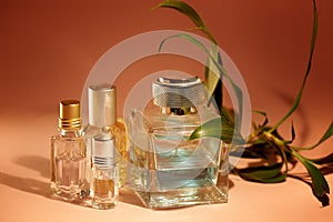 A large bottle of men`s perfume and oil for the fragrance. Tropical smell.Aromatherapy, perfumes.