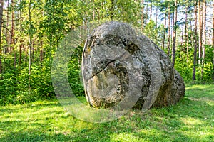 Large Boulder in the Forest. Big Rock on the Scenery, Green Forest in Background