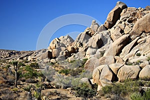 Large Boulders