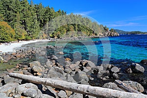 Vancouver Island, Clear Turquoise Water at Aylard Beach, East Sooke Wilderness Park, British Columbia