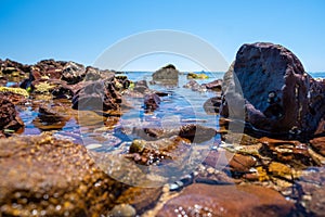 Large boulders with seashells in shallow ocean bay water.