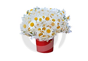 Large bouquet of camomiles in a vase