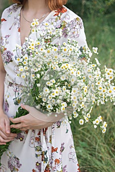 A large bouquet of daisies in the hands of a gentle girl. Girl in a flower meadow.