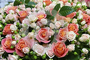 Large bouquet of red roses and cream close-up